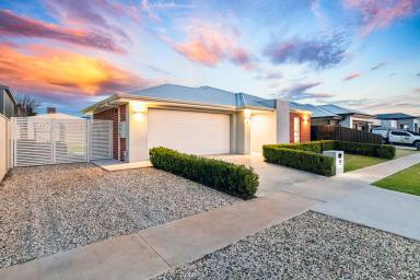 House For Sale - VIC - Mildura - 3500 - Exceptional Contemporary Living with Impressive Entertaining & Shedding  (Image 2)