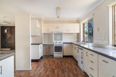 House For Lease - QLD - Warwick - 4370 - Spacious Family Home with Huge Backyard, Shed & 4-Car Parking  (Image 2)