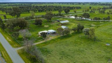 Other (Rural) Auction - VIC - Katandra West - 3634 - 80 Acres of Irrigation, Infrastructure & Opportunity  (Image 2)