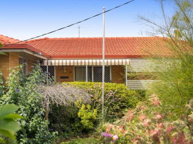 House For Sale - QLD - Wilsonton - 4350 - Well-Presented 1970s Home with Beautiful Gardens & Exceptional Convenience (Image 2)