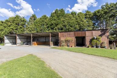 Lifestyle For Sale - NSW - Jaspers Brush - 2535 - 'Flying Fox Farm' - Idyllic Acreage with Character & Infrastructure  (Image 2)