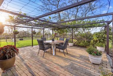 Lifestyle For Sale - NSW - Jaspers Brush - 2535 - 'Flying Fox Farm' - Idyllic Acreage with Character & Infrastructure  (Image 2)