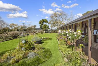 Lifestyle For Sale - NSW - Jaspers Brush - 2535 - 'Flying Fox Farm' - Idyllic Acreage with Character & Infrastructure  (Image 2)