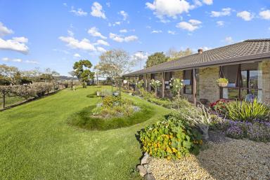 Lifestyle For Sale - NSW - Jaspers Brush - 2535 - 'Flying Fox Farm' - Idyllic Acreage with Character & Infrastructure  (Image 2)