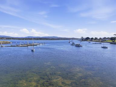 House For Sale - TAS - George Town - 7253 - Amazing Tamar River Views - Renovator on 1576m² block (Image 2)