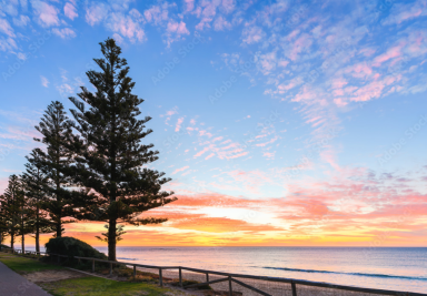 House For Sale - SA - Christies Beach - 5165 - 20 minute walk to the Coast - 1 Owner Home  (Image 2)