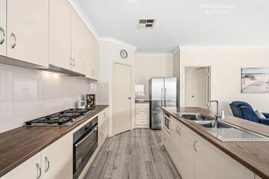 House For Sale - SA - Christies Beach - 5165 - Coastal Living Elevated- 1 Owner Home (Image 2)