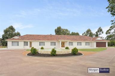 House For Sale - WA - Banjup - 6164 - Rare Country Living Opportunity 25kms from Perth  (Image 2)