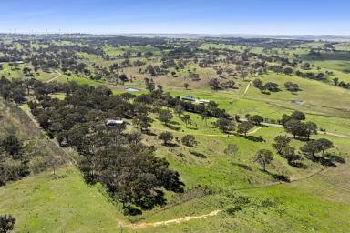 Other (Rural) For Sale - NSW - Breadalbane - 2581 - "WALAROY" Hobby Farm (Image 2)