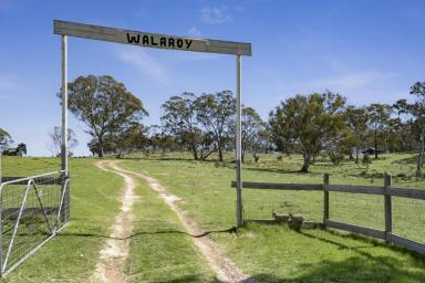 Other (Rural) For Sale - NSW - Breadalbane - 2581 - "WALAROY" Hobby Farm (Image 2)