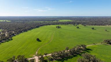 Mixed Farming For Sale - NSW - Barham - 2732 - ICONIC SOUTHERN RIVERINA GRAZING & CROPPING PROPERTY  (Image 2)