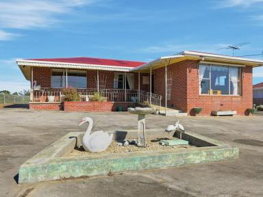 House For Sale - TAS - Sorell - 7172 - Diverse Opportunity in Convenient Location  (Image 2)