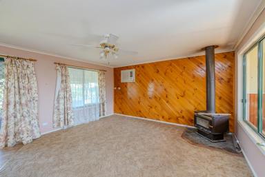House For Sale - NSW - Balranald - 2715 - Affordable home or use as a 'base'! (Image 2)