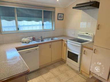 House For Lease - SA - Swan Reach - 5354 - Great Rental Opportunity Near the River  (Image 2)