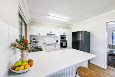 House For Sale - SA - Penola - 5277 - Beautifully Renovated Solid Home in the Heart of Penola  (Image 2)