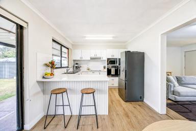 House For Sale - SA - Penola - 5277 - Beautifully Renovated Solid Home in the Heart of Penola  (Image 2)