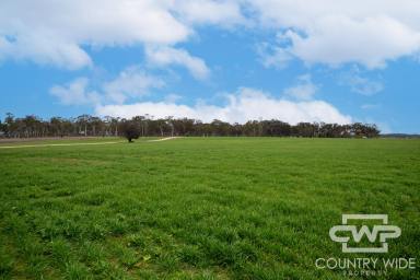 Mixed Farming For Sale - NSW - Glen Innes - 2370 - 'Plain View'  (Image 2)