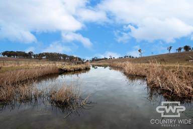 Mixed Farming For Sale - NSW - Glen Innes - 2370 - 'Plain View' (Image 2)