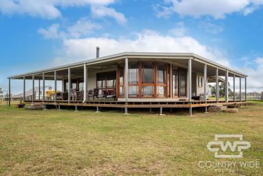 Mixed Farming For Sale - NSW - Glen Innes - 2370 - 'Plain View'  (Image 2)