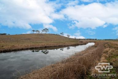 Mixed Farming For Sale - NSW - Glen Innes - 2370 - 'Plain View' (Image 2)
