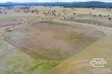 Mixed Farming For Sale - NSW - Glen Innes - 2370 - 'Plain View South'  (Image 2)