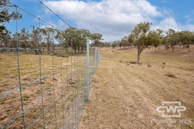 Mixed Farming For Sale - NSW - Glen Innes - 2370 - 'Plain View' + 'Plain View South' - Dual Property Opportunity (Image 2)