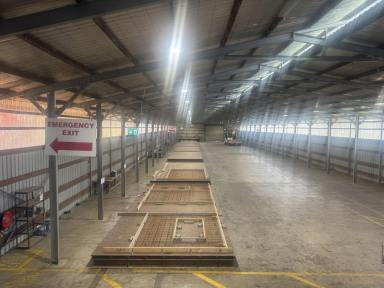 Industrial/Warehouse For Lease - WA - Banjup - 6164 - Bulk Goods Warehouse for Lease (Image 2)