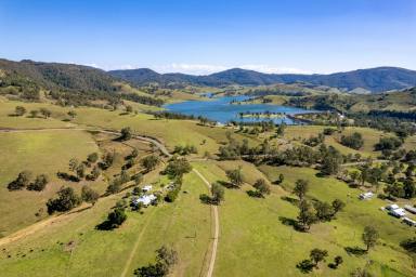Livestock Auction - NSW - Lostock - 2311 - Yamba Woota - Angus Stud & First Class Cattle Breeding & Fattening Enterprise (Image 2)