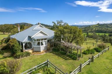 Livestock Auction - NSW - Lostock - 2311 - Yamba Woota - Angus Stud & First Class Cattle Breeding & Fattening Enterprise (Image 2)