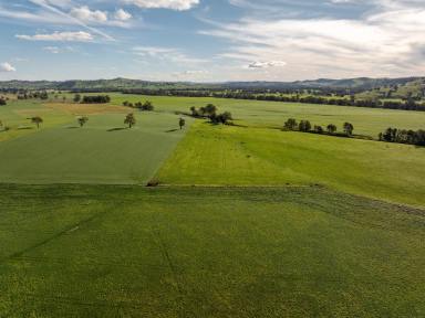 Livestock Auction - NSW - South Gundagai - 2722 - Bidgee Flats - Production – Perfection – Performance  (Image 2)