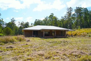 Lifestyle For Sale - NSW - Kyogle - 2474 - The Getaway (Image 2)