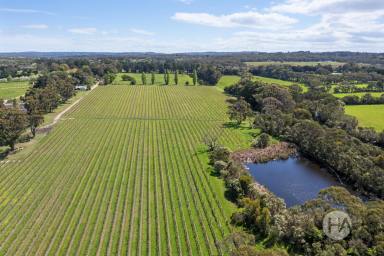 Acreage/Semi-rural For Sale - VIC - Bittern - 3918 - Bittern Estate – A Rare Mornington Peninsula Vineyard Opportunity  (Image 2)