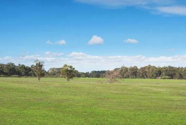 Lifestyle For Sale - WA - Witchcliffe - 6286 - A RARE RURAL OPPORTUNITY  (Image 2)