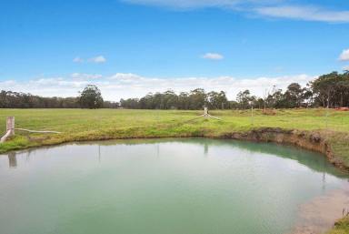 Lifestyle For Sale - WA - Witchcliffe - 6286 - A RARE RURAL OPPORTUNITY  (Image 2)