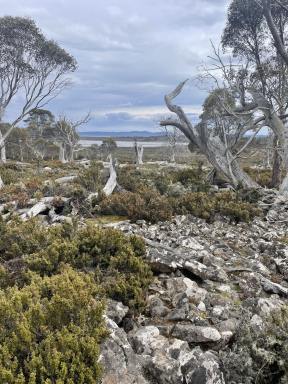 Residential Block For Sale - TAS - Miena - 7030 - Your High Country Escape Awaits  (Image 2)