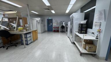 Industrial/Warehouse For Lease - VIC - Scoresby - 3179 - Laboratory & Office Space for Lease  (Image 2)