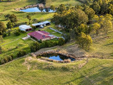 Lifestyle For Sale - NSW - Reedy Creek - 2330 - Exceptional 21.88-Acre Country Estate with Pool, Tennis Court & Extensive Shedding (Image 2)
