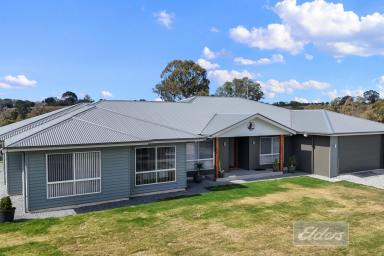 House For Sale - QLD - Chatsworth - 4570 - STUNNING Family Home, Studio & BIG Shed! (Image 2)