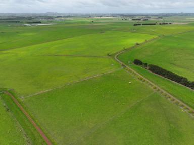 Mixed Farming For Sale - VIC - Mortlake - 3272 - Prime Livestock Breeding & Wind Energy Enterprise  (Image 2)