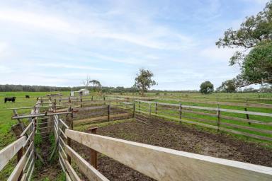 Mixed Farming For Sale - VIC - Heywood - 3304 - Well Sheltered Heywood Farmland  (Image 2)