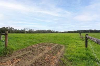 Mixed Farming For Sale - VIC - Heywood - 3304 - Well Sheltered Heywood Farmland  (Image 2)