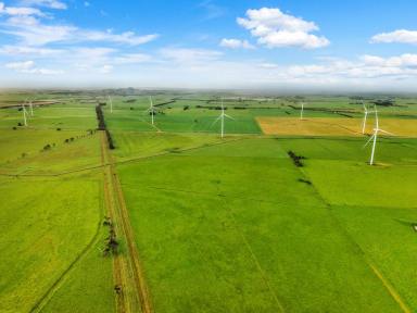 Mixed Farming For Sale - VIC - Kolora - 3265 - Conheady's | Kolora VIC  (Image 2)