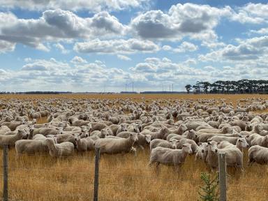 Mixed Farming For Sale - VIC - Kolora - 3265 - Glen Faye | Kolora VIC  (Image 2)