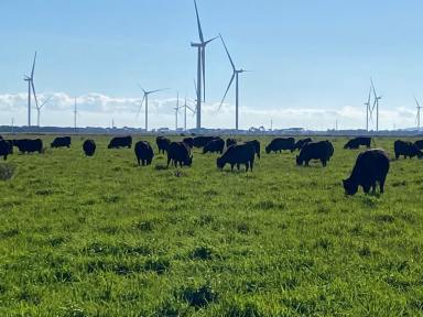 Mixed Farming For Sale - VIC - Kolora - 3265 - Glen Faye | Kolora VIC  (Image 2)