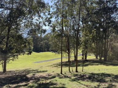 Residential Block For Sale - NSW - Kangaroo Valley - 2577 - 7 Acres Kangaroo valley NSW (Image 2)
