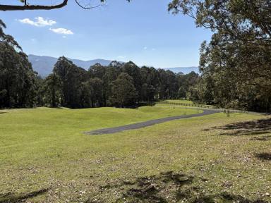 Residential Block For Sale - NSW - Kangaroo Valley - 2577 - 7 Acres Kangaroo valley NSW (Image 2)