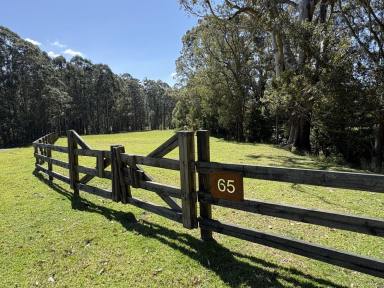 Residential Block For Sale - NSW - Kangaroo Valley - 2577 - 7 Acres Kangaroo valley NSW (Image 2)