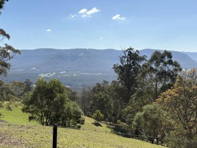 Residential Block For Sale - NSW - Kangaroo Valley - 2577 - Land for Sale Kangaroo valley NSW  (Image 2)