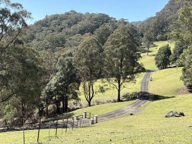 Residential Block For Sale - NSW - Kangaroo Valley - 2577 - Secluded Estate Kangaroo valley NSW  (Image 2)