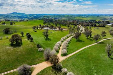 Mixed Farming For Sale - NSW - Yass - 2582 - A PREMIER RURAL HOLDING FRONTING THE YASS RIVER (Image 2)